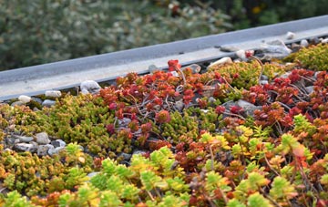 the cost of Rhos On Sea green roof installation