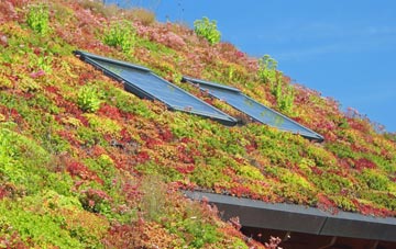 Rhos On Sea living roof systems
