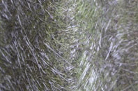 Rhos On Sea fibreglass roof work